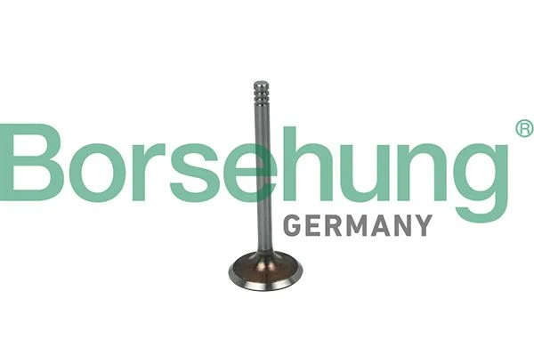 Intake Valve Borsehung B19016