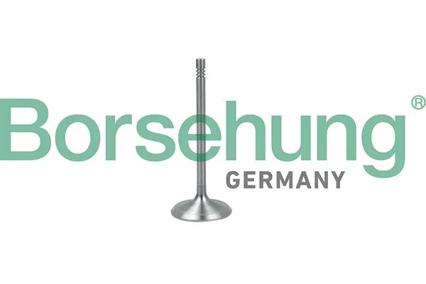 Sesalni ventil Borsehung B19017