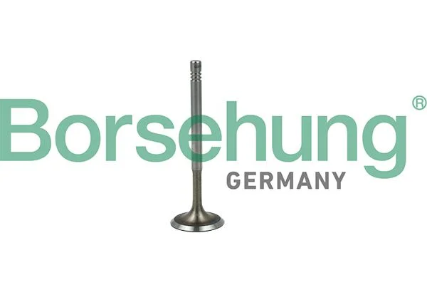 Intake Valve Borsehung B19019