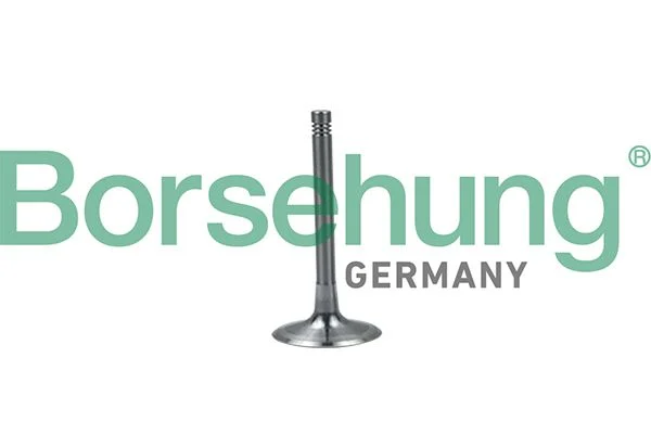 Sesalni ventil Borsehung B19028