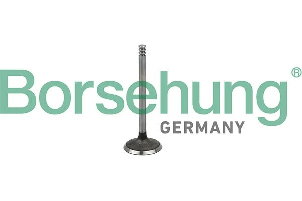 Sesalni ventil Borsehung B19029