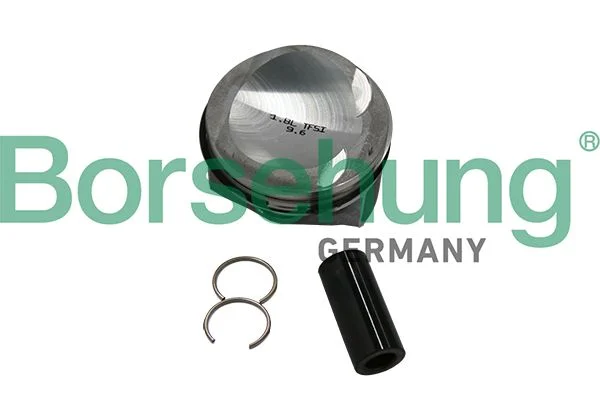Piston Ring Set Borsehung B19152