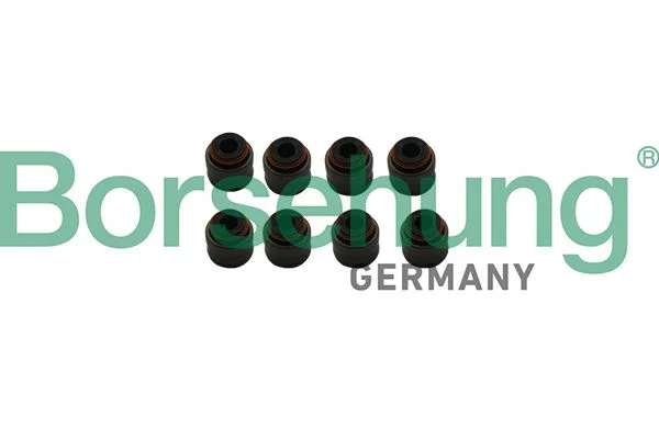 Seal Ring, valve stem Borsehung B19240