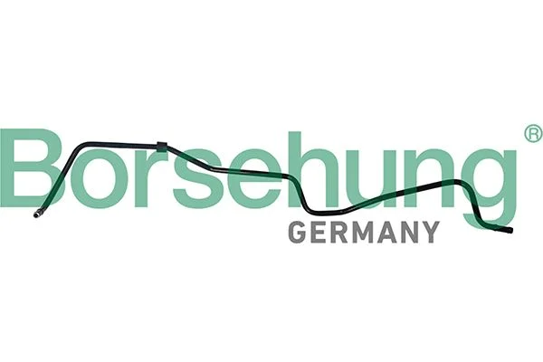 Hose, crankcase ventilation Borsehung B19264