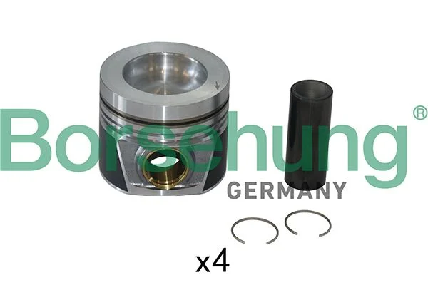 Piston Ring Set Borsehung B19302