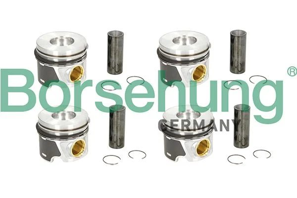 Piston Ring Set Borsehung B19303