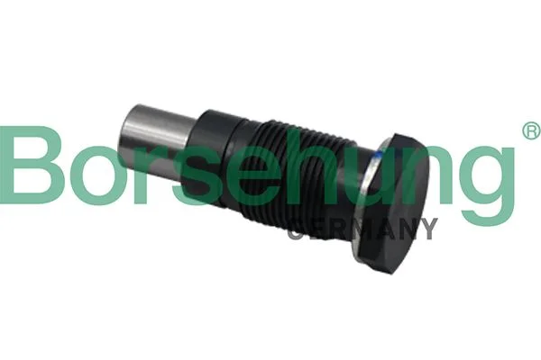 Timing Chain Kit Borsehung B19308