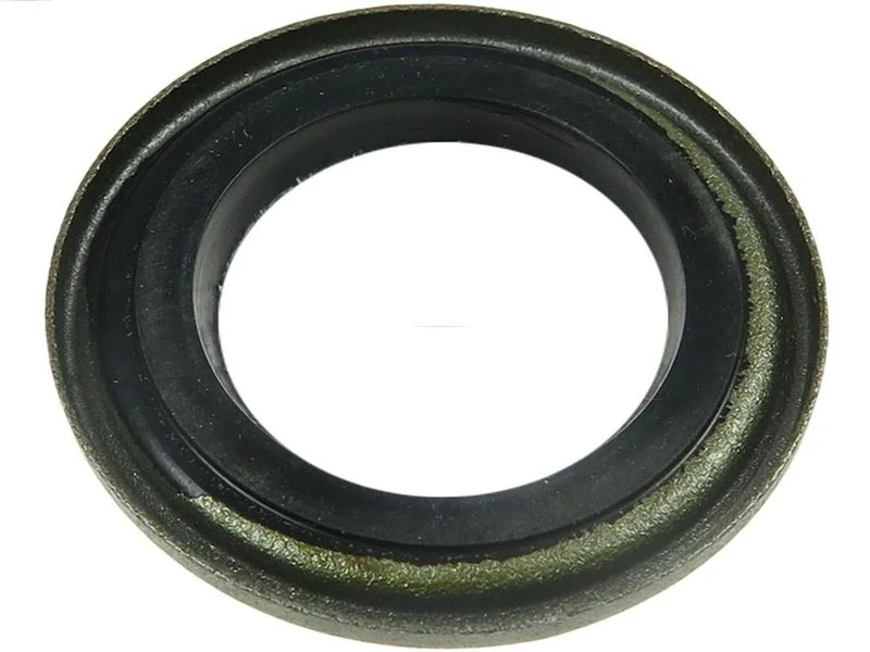 Komplet za popravilo, alternator AS-PL SRS5013