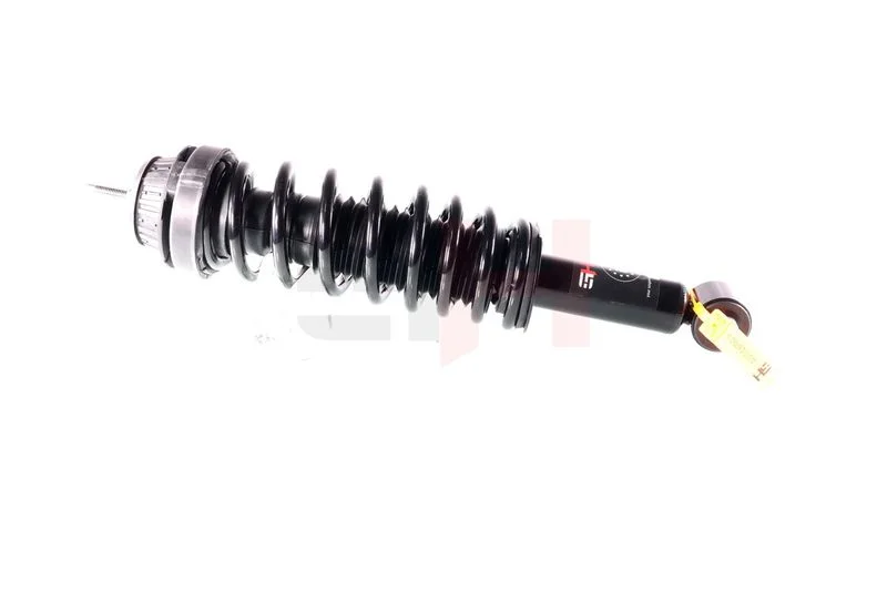 Suspension Strut GH GH-331060C01