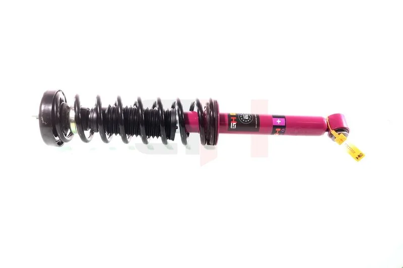 Vzmetenje Strut GH GH-331533C01