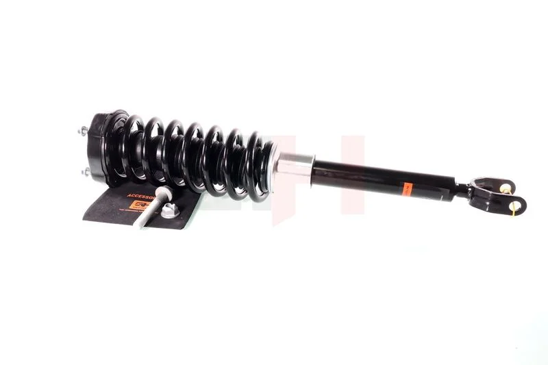 Suspension Strut GH GH-333353C02