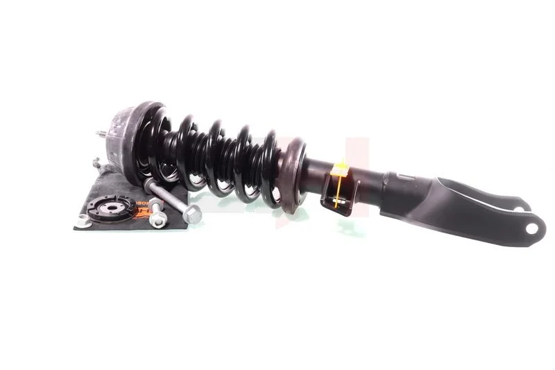 Suspension Strut GH GH-334790C01