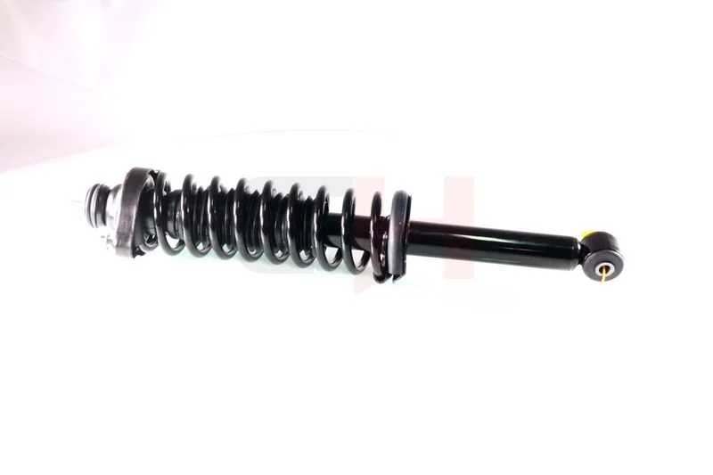Vzmetenje Strut GH GH-334845C01