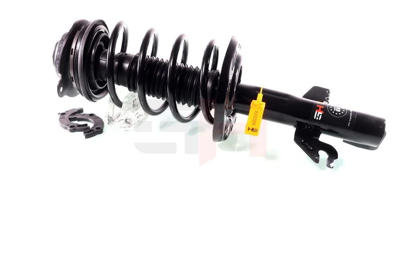 Suspension Strut GH GH-351021C01