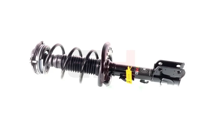 Suspension Strut GH GH-352206C01