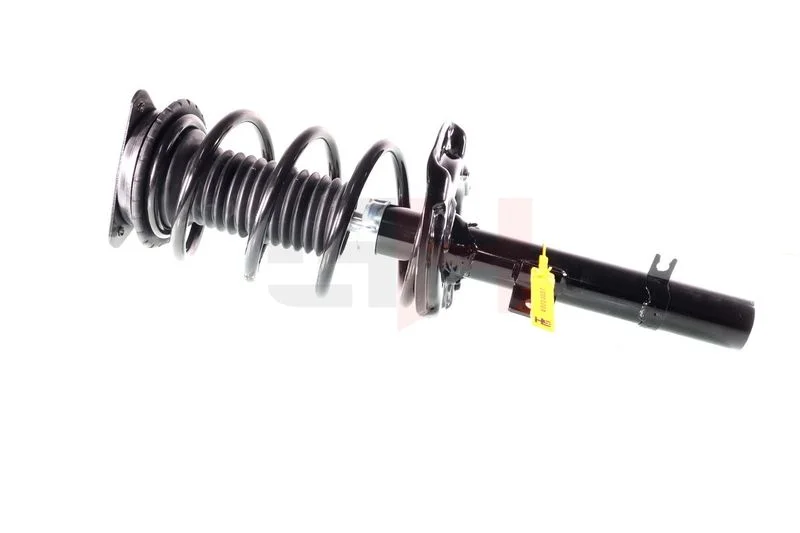 Suspension Strut GH GH-352293C03