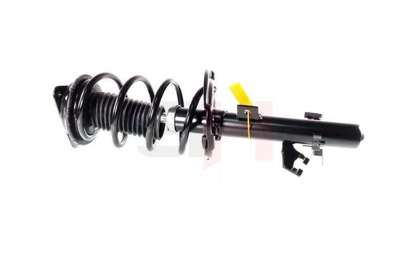 Suspension Strut GH GH-352295C01