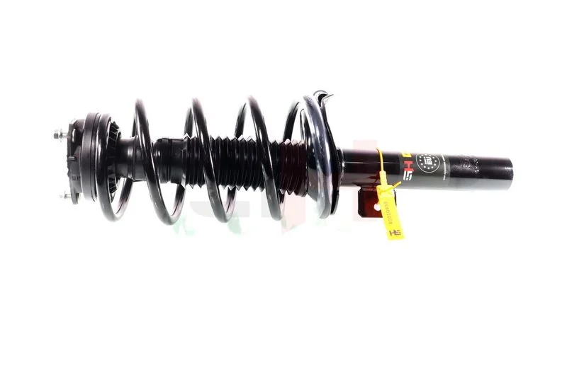 Suspension Strut GH GH-352552C03
