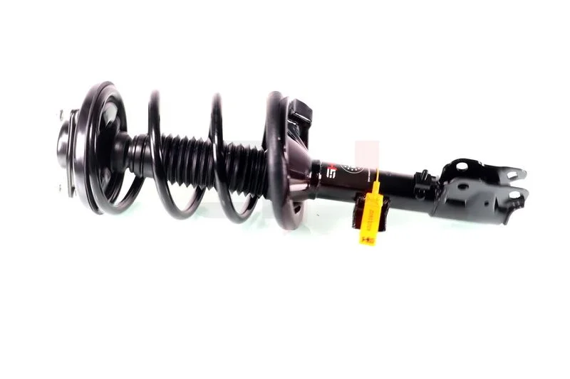 Suspension Strut GH GH-353055C01