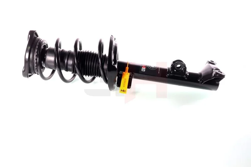 Suspension Strut GH GH-353301C01