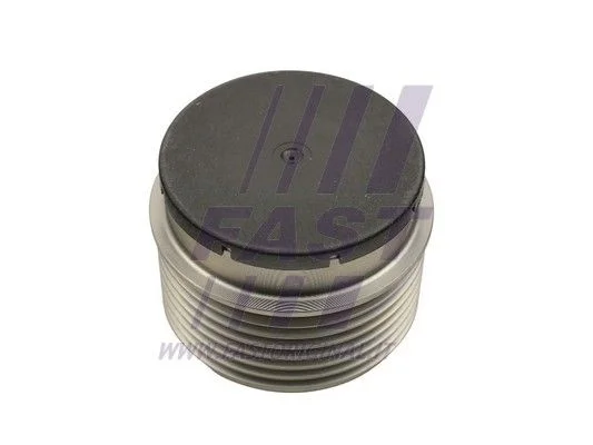 Belt Pulley, alternator FAST FT45646