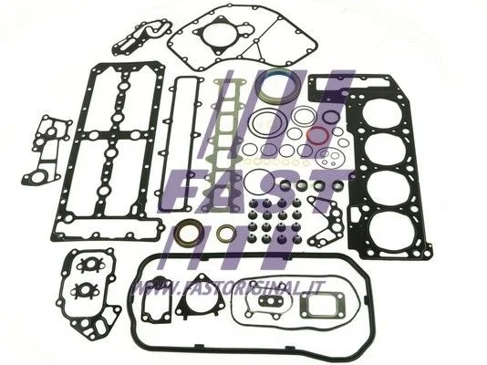 Celoten komplet tesnil, motor FAST FT48008