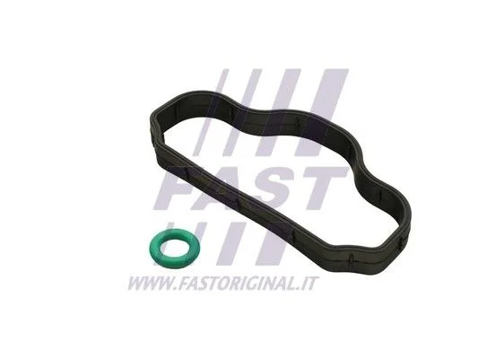 Seal Ring, cylinder head cover bolt FAST FT48302
