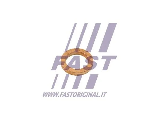 Tesnilo, dovod olja (polnilnik) FAST FT48802