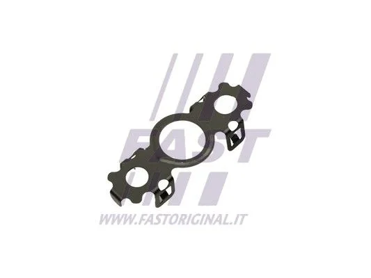 Tesnilo, izhod za olje (polnilec) FAST FT48811