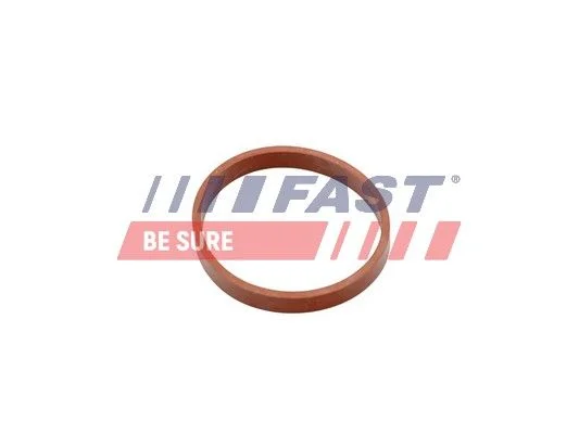 Gasket, intake manifold FAST FT49418