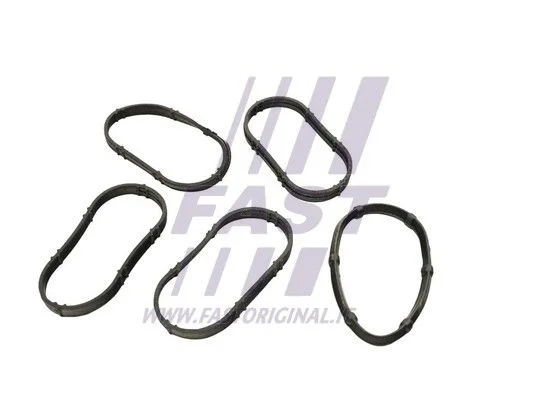 Gasket Set, intake manifold FAST FT49456