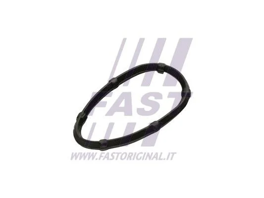 Tesnilo, izpušni kolektor FAST FT49457