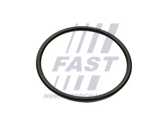 Gasket, intake manifold FAST FT49460