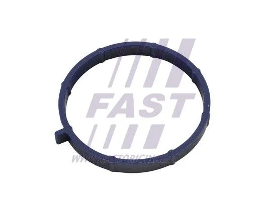 Gasket, intake manifold FAST FT49467