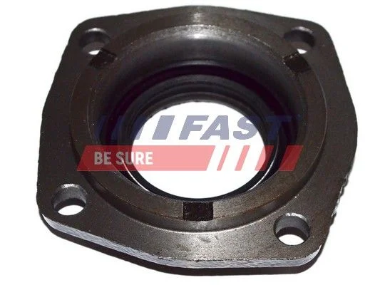 Shaft Seal, manual transmission FAST FT49838