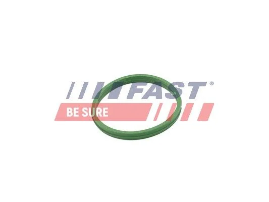 Tesnilni obroč, vtič za izpust olja FAST FT49855