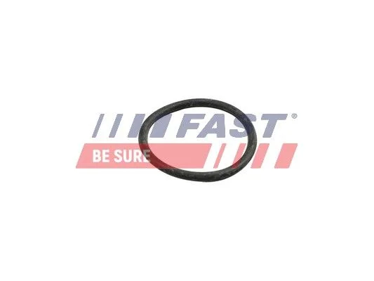 Tarpiklis, aušinimo skysčio vamzdelis FAST FT49918