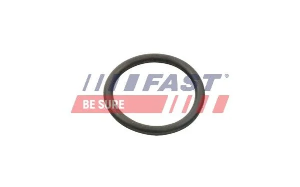 Tesnilo, vodna črpalka FAST FT49934