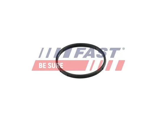 Tesnilo, EGR ventil FAST FT50602