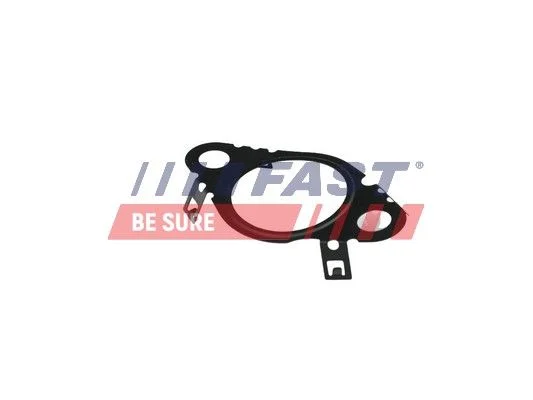 Tesnilo, EGR ventil FAST FT50604