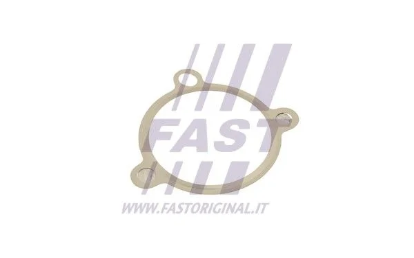 Tesnilo, EGR ventil FAST FT50605