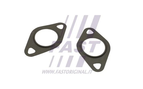 Tesnilo, EGR ventil FAST FT50608
