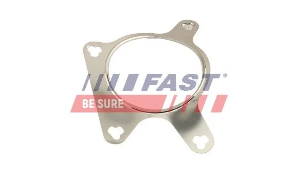 Tesnilo, EGR ventil FAST FT50613