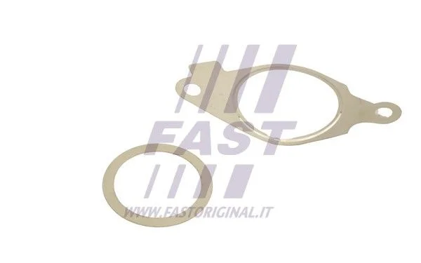Komplet tesnil, sistem EGR FAST FT50614