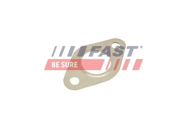 Tesnilo, EGR ventil FAST FT50615