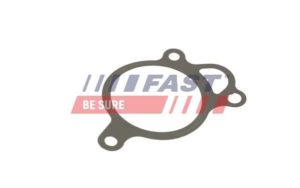 Tesnilo, EGR ventil FAST FT50619