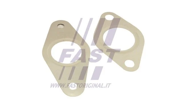 Komplet tesnil, sistem EGR FAST FT50621