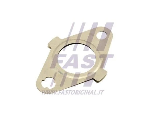 Tesnilo, EGR ventil FAST FT50627