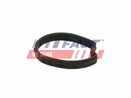 Tesnilo, ohišje termostata FAST FT58301