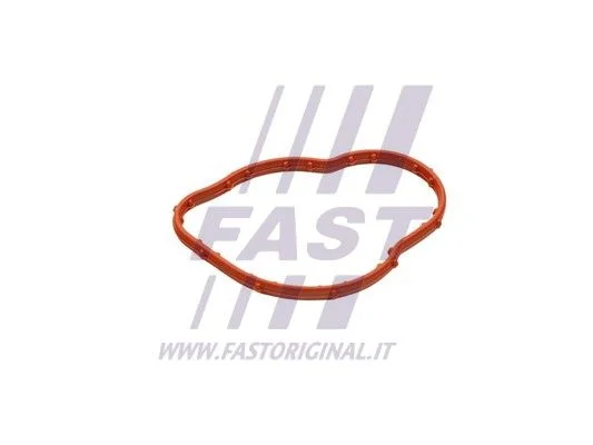 Seal, thermostat FAST FT58305